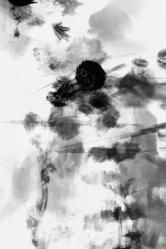 Monochrome Dreamscape